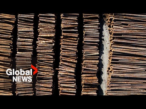 YouTube video thumbnail: Softwood Lumber Tariffs: BC Premier Warns Industry on "Razor’s Edge of Survival"