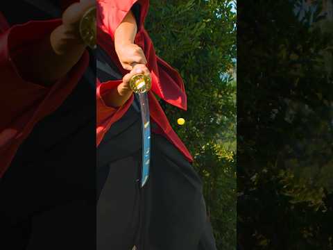 Katana vs Bullet
