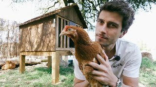 06: Je me construis un poulailler de luxe sans expérience