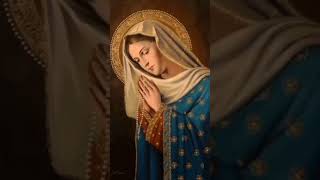 SALVE MARIA SANTÍSSIMA 🙏#shorts #catolicosdeverdade #missa #nossasenhora #catolicos #avemaria