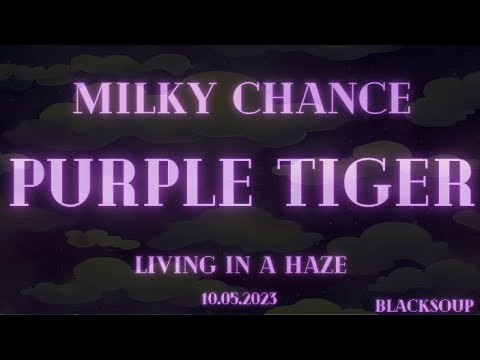 Milky Chance - Purple Tiger (Lyrics)