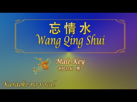 忘情水 【卡拉OK (男)】《KTV KARAOKE》 – Wang Qing Shuie (Male)