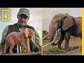 Exploring African Wildlife and Sculpture