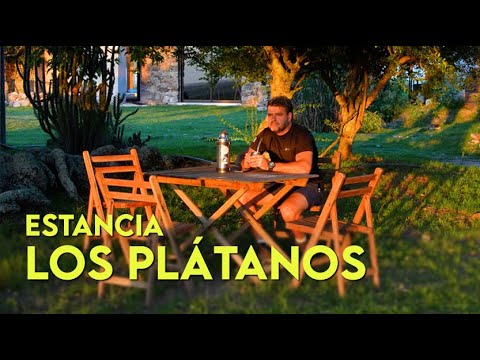 Estancia LOS PLÁTANOS