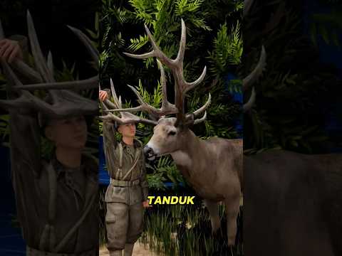 Bagimana cara Tentara Menyamar menjadi rusa ๐ซ di Medan Perang ? #kamuflase