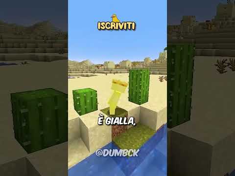 MINECRAFT, ma non riesco a toccare COLORI CASUALI! ⛏️ #shorts