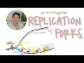 DNA Replication Processes and Enzymes