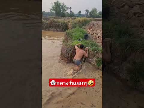 #funny #comedy #ขำขัน #ตลกฮาฮา #คลิปตลก #colonelkkjϟ #fishing #animals #troll #happy #fun #หว่านแห