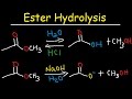 Acid and Base Catalysis Concepts