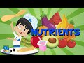 Nutrition and Healthy Eating Concepts