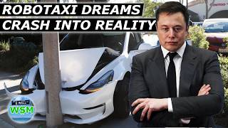 Tesla's Robotaxi Network Is Failing Hard
