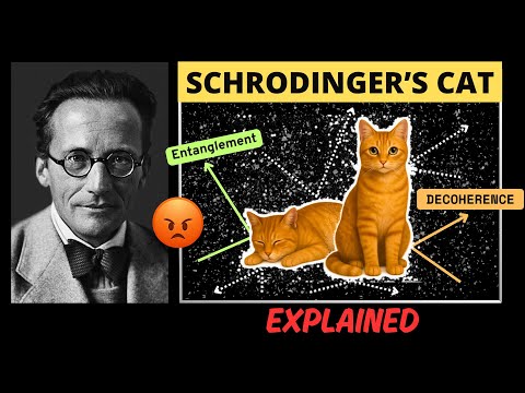 Why Schrödinger Criticized the Cat Experiment? How is it Resolved?
