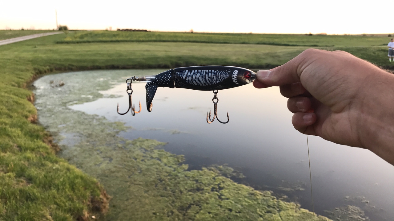 Pond Topwater Fishing