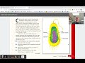 Exploring Plant and Animal Cell Differences