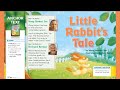 Little Rabbit's Tale Comprehension