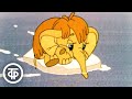 Mammoth's Journey and Discoveries
