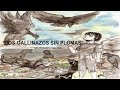 Cuestionario sobre 'Los gallinazos sin plumas'