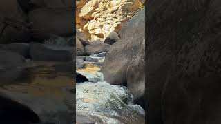 Box canyon tarryall park county 10/5/26