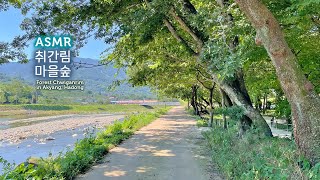 ASMR 취간림🌲푸른 물총새가 지저귀는 마을숲에서의 하루 | 숲소리, 피아노 Playlist