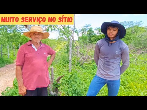 🏡 Tirando a Cerca Velha Pra Refazer da Ampliação do Sítio Dia de Trabalho Abençoado Gratidão