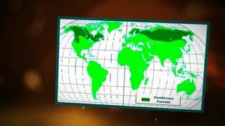 All About Biomes!
