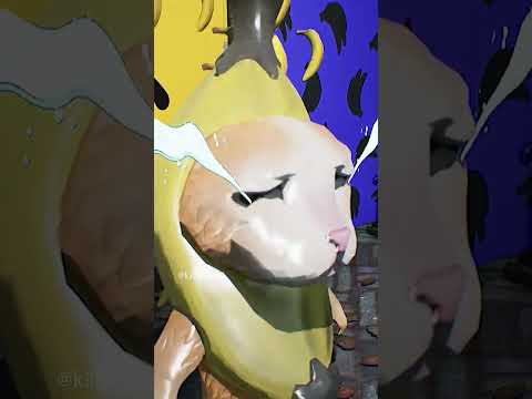 Banana cat accident and now past lives ?(RTX21%) IB:@raredoodle @PlataBush #bananacat #meme