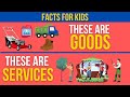Exploring Goods vs. Services for Kids