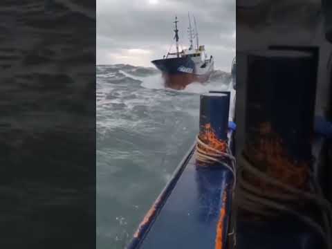 Ship in storm || #sea #navy #waves #risk #ocean #ytshort &nbsp; #like