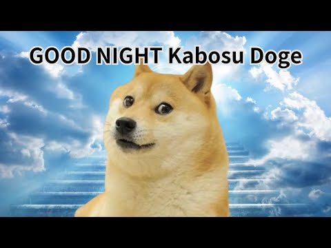 Goodnight Kabosu Doge