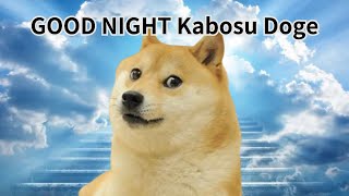 Goodnight Kabosu Doge