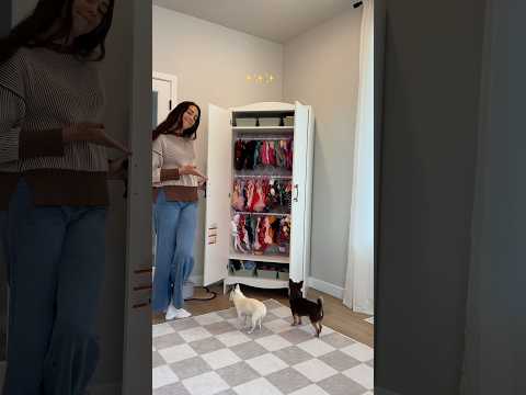 Dressing them up gives me massive amounts of serotonin…🤭