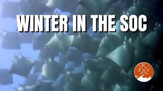 Winter in the South SOC | SV Ramble On