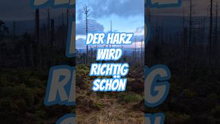 der Harz verjüngt sich und ost aktuell so schön wie noch nie... #harz #harzliebe #natur #harzer