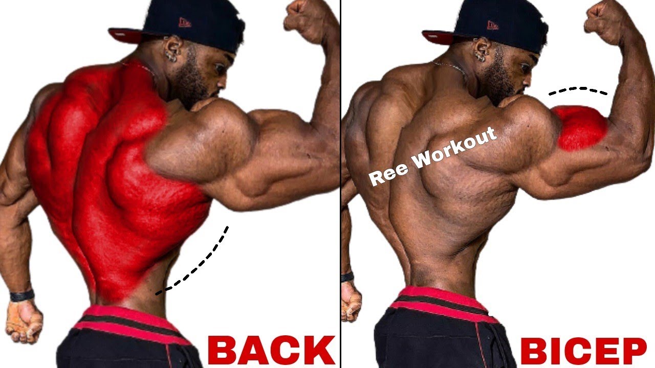 Top 5 Back Workout and Bicep Workout Exercises – Back and Biceps