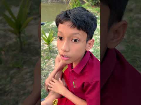 #shorts // Cat & Rabbit heart touching moment 😭 // #cat #rabbit #ytshorts #trending #emotional