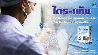 TAB Innovation:  ไตร-แท๊บ (ชีวภัณฑ์ไตรโคเดอร์เดอร์มา แอสเพอร์เรียลลัม)