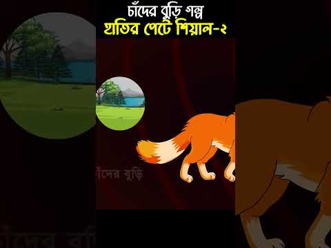 Chander Buri Bangla Cartoon | Bhuter Cartoon | Hatir Pete Shial 02 #story 224 #shorts