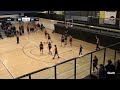 Basketball Fouls and Free Throws