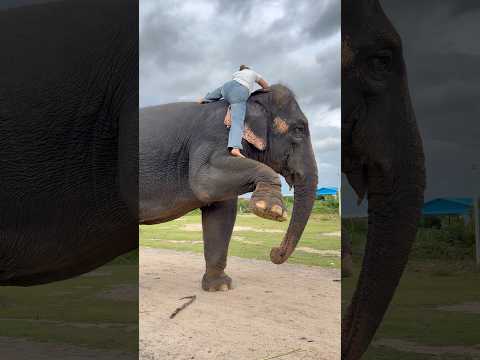 นี่แหละตำนานที่เราสร้างกันมาค่ะ