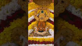 थक सा गया हूं मैं बाबा 😭🙏#shyam #shreekhatushyam#जयश्रीखाटूनरेश#vairal#short