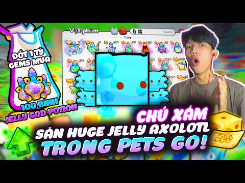 CHÚ XÁM ĐỐT 1 TỶ GEMS MUA 100 BÌNH JELLY GOD POTION ĐỂ SĂN HUGE JELLY AXOLOTL SHINY TRONG PETS GO!