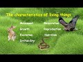 Exploring the Seven Characteristics of Living Things