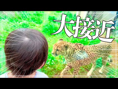 【ドキドキ！】息子と動物園デートしました🦁🐘🦒