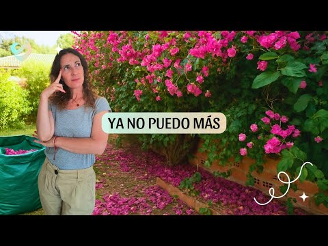 Esta CASA me está ganando: el jardín es una selva, la piscina IMPOSIBLE y el pasillo ETERNO 🫠