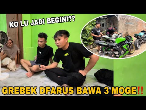 JEMPUT PAKSA DFARUS BUAT BALIK‼️GEBER 3 MOGE KE KOSAN DFARUS‼️