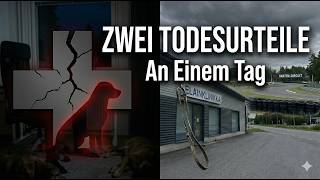 Zwei Todesurteile an einem Tag: Meine Diagnose & die Nachricht vom Tierarzt