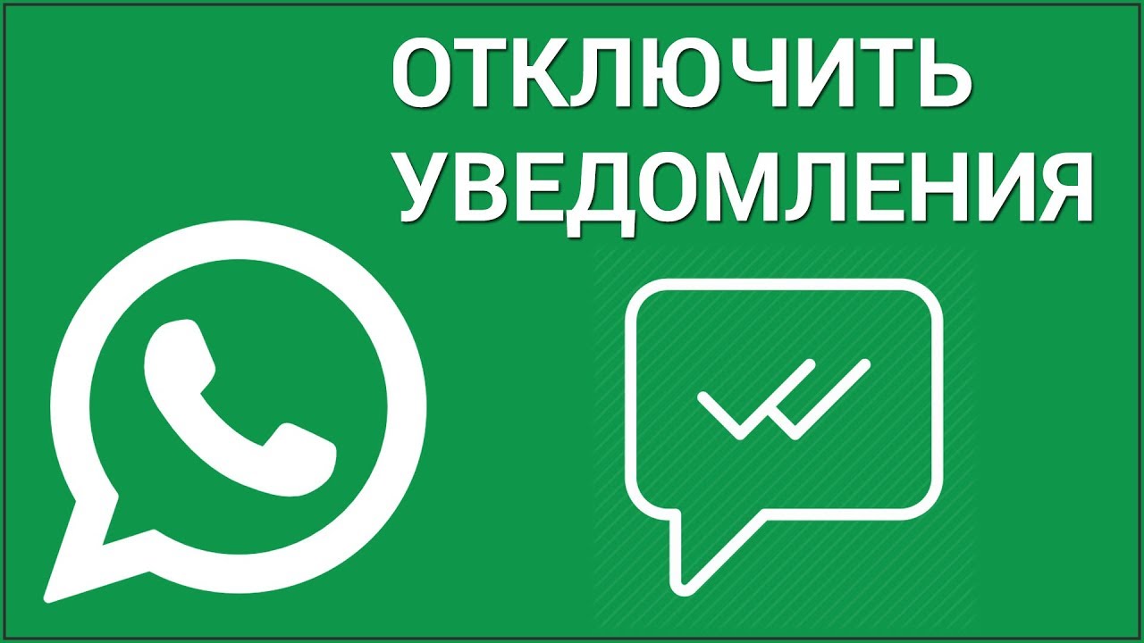 Как отключить уведомления о прочтении в WhatsApp на iPhone? Скрываем отчёты о прочтении в Ватсап