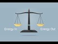 Energy Balance and Dietary Practices