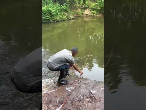 Folding fish and shrimp cage, as long as the resources are good, put it in once and you can part 4