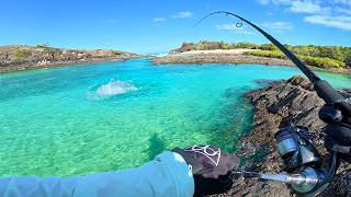 4 Days Solo Island Camping, Fishing & Cooking (Catch & Cook Finale)